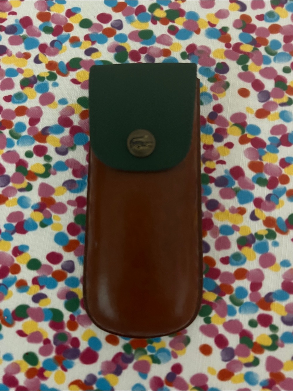 Vintage Lacoste Brown Leather Sunglasses Case with Dark Green Snap Flap
